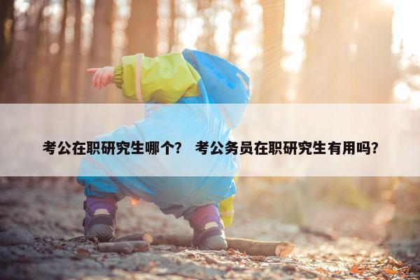 考公在职研究生哪个？ 考公务员在职研究生有用吗？