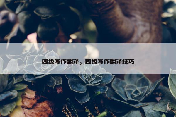 四级写作翻译，四级写作翻译技巧