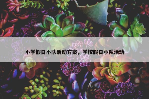 小学假日小队活动方案，学校假日小队活动