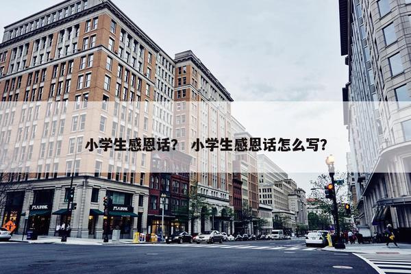 小学生感恩话？ 小学生感恩话怎么写？