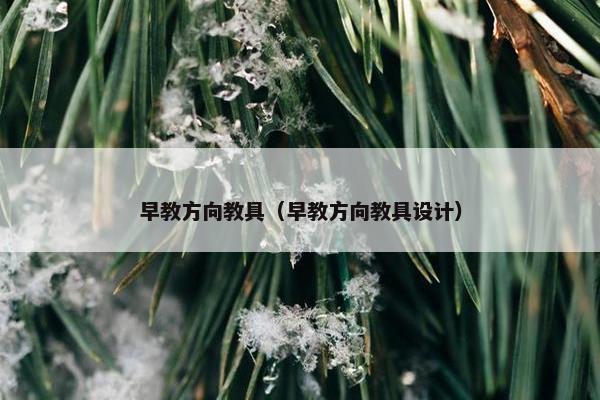 早教方向教具（早教方向教具设计）