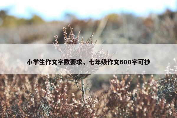 小学生作文字数要求，七年级作文600字可抄