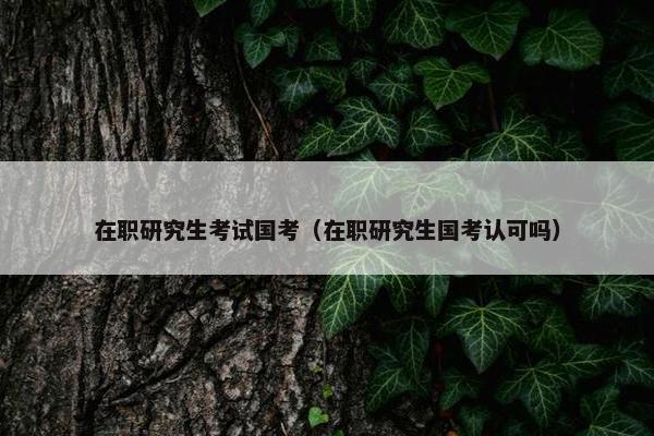 在职研究生考试国考（在职研究生国考认可吗）
