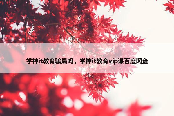 学神it教育骗局吗，学神it教育vip课百度网盘