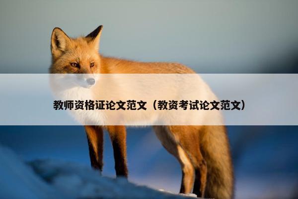 教师资格证论文范文（教资考试论文范文）