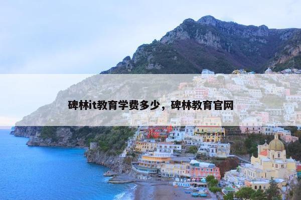 碑林it教育学费多少，碑林教育官网