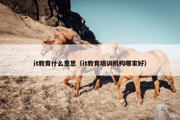 it教育什么意思（it教育培训机构哪家好）