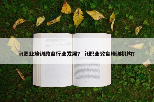 it职业培训教育行业发展？ it职业教育培训机构？