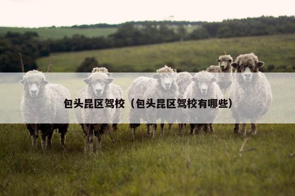 包头昆区驾校（包头昆区驾校有哪些）