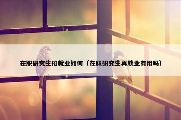 在职研究生招就业如何（在职研究生再就业有用吗）
