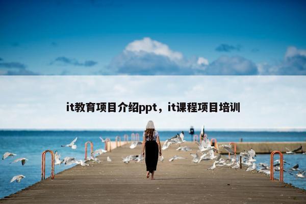 it教育项目介绍ppt，it课程项目培训