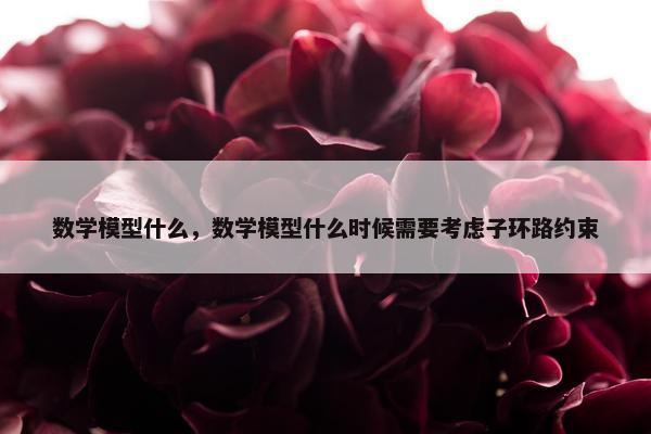 数学模型什么，数学模型什么时候需要考虑子环路约束