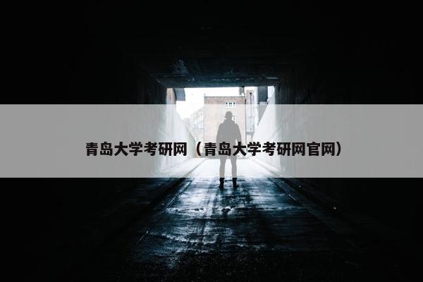 青岛大学考研网（青岛大学考研网官网）
