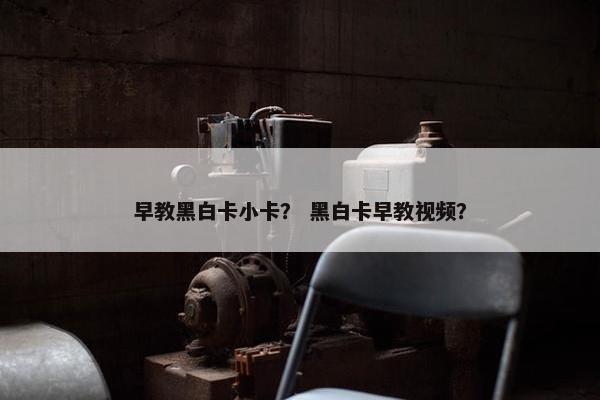 早教黑白卡小卡？ 黑白卡早教视频？