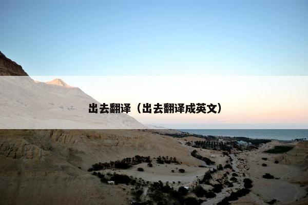 出去翻译（出去翻译成英文）