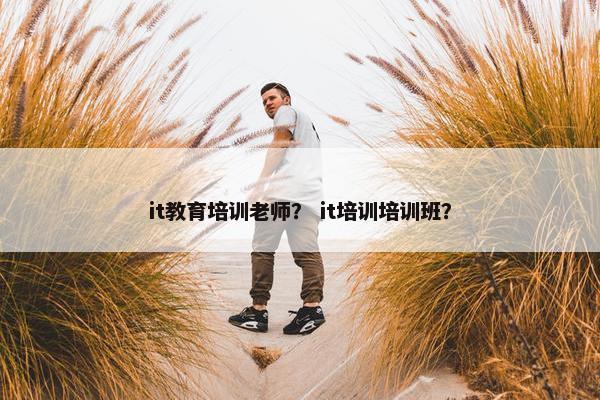 it教育培训老师？ it培训培训班？