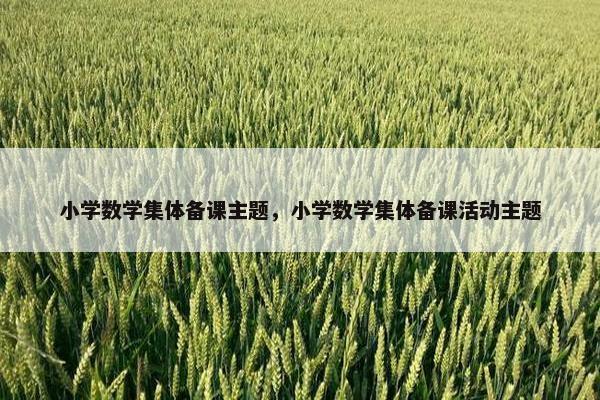 小学数学集体备课主题，小学数学集体备课活动主题