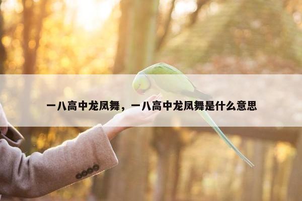 一八高中龙凤舞，一八高中龙凤舞是什么意思