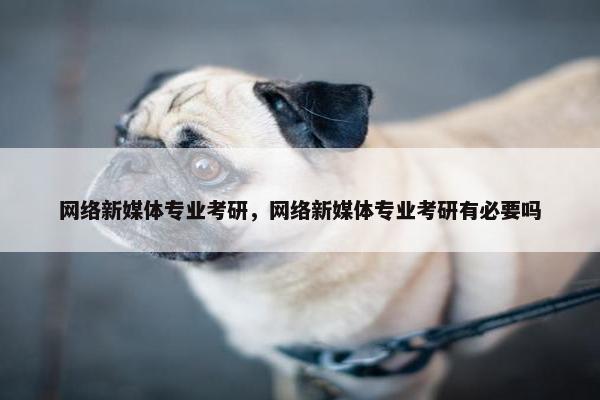 网络新媒体专业考研，网络新媒体专业考研有必要吗