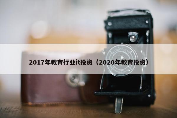 2017年教育行业it投资（2020年教育投资）