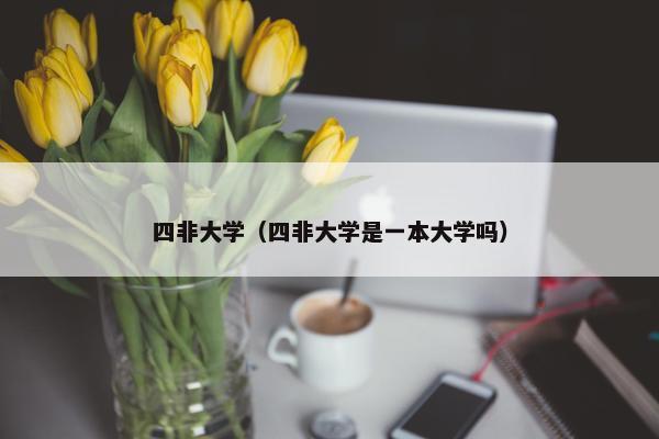 四非大学（四非大学是一本大学吗）