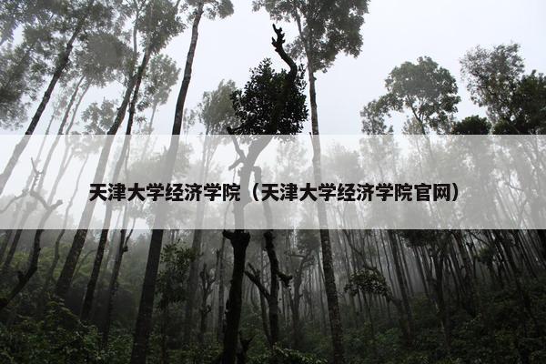 天津大学经济学院（天津大学经济学院官网）