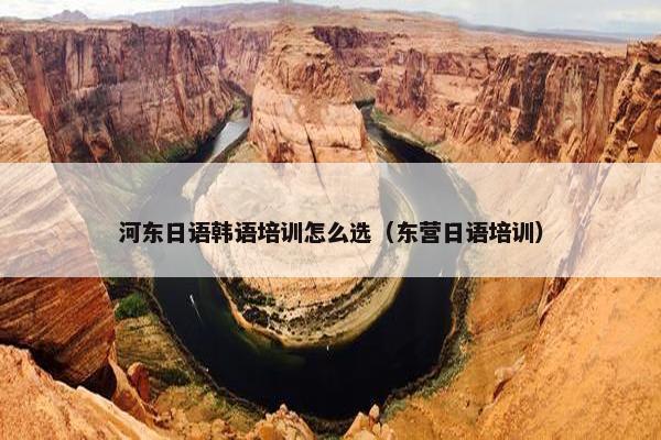 河东日语韩语培训怎么选（东营日语培训）