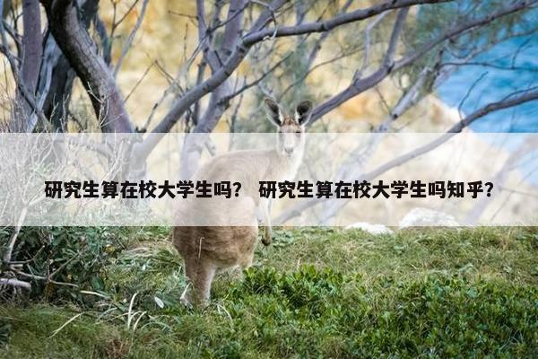 研究生算在校大学生吗？ 研究生算在校大学生吗知乎？
