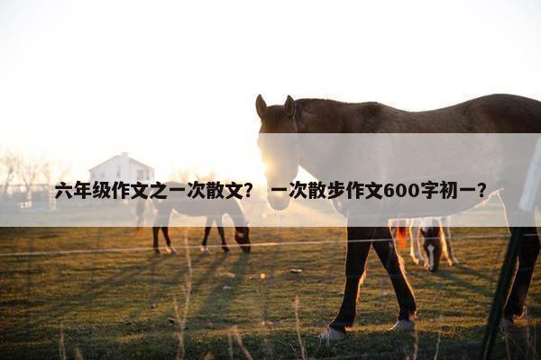 六年级作文之一次散文？ 一次散步作文600字初一？