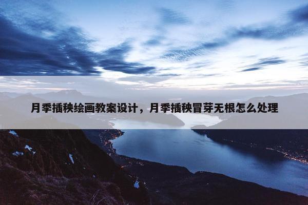 月季插秧绘画教案设计，月季插秧冒芽无根怎么处理