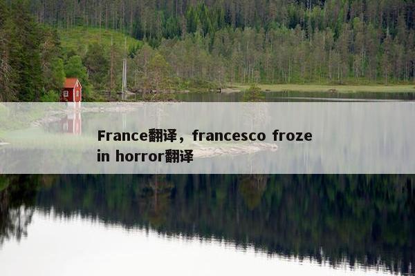 France翻译，francesco froze in horror翻译