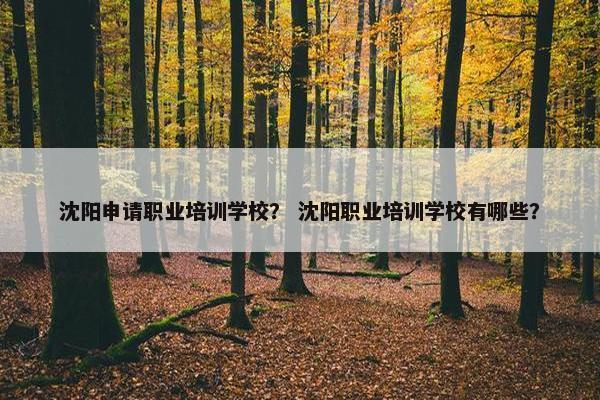 沈阳申请职业培训学校？ 沈阳职业培训学校有哪些？