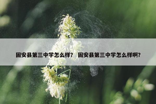固安县第三中学怎么样？ 固安县第三中学怎么样啊？