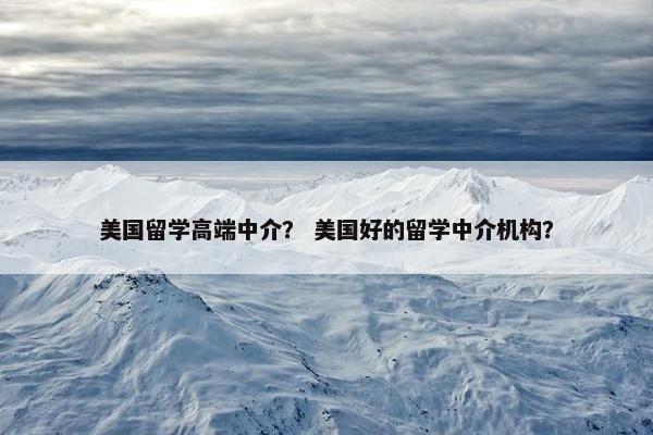 美国留学高端中介？ 美国好的留学中介机构？