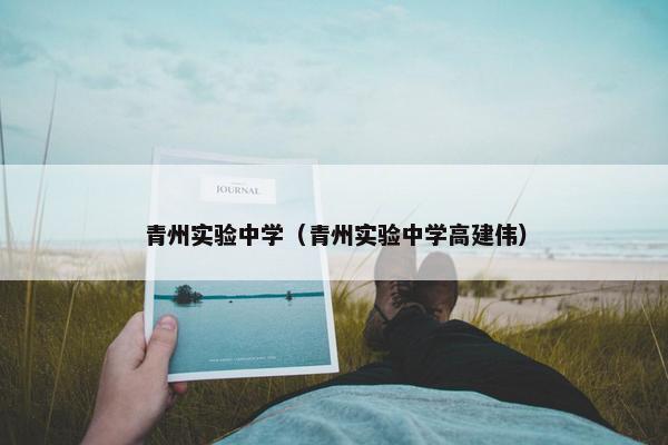 青州实验中学（青州实验中学高建伟）