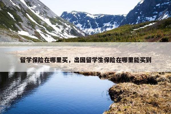 留学保险在哪里买，出国留学生保险在哪里能买到