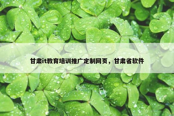 甘肃it教育培训推广定制网页，甘肃省软件