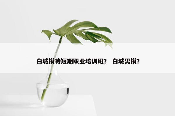 白城模特短期职业培训班？ 白城男模？