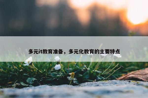 多元it教育准备，多元化教育的主要特点