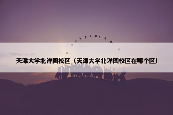 天津大学北洋园校区（天津大学北洋园校区在哪个区）