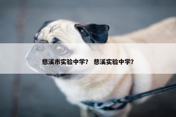 慈溪市实验中学？ 慈溪实验中学？