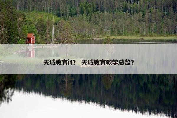 天域教育it？ 天域教育教学总监？