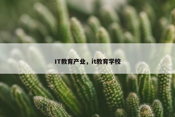 IT教育产业，it教育学校