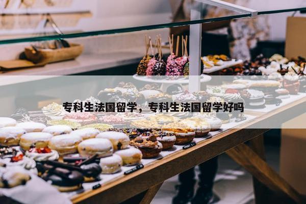 专科生法国留学，专科生法国留学好吗