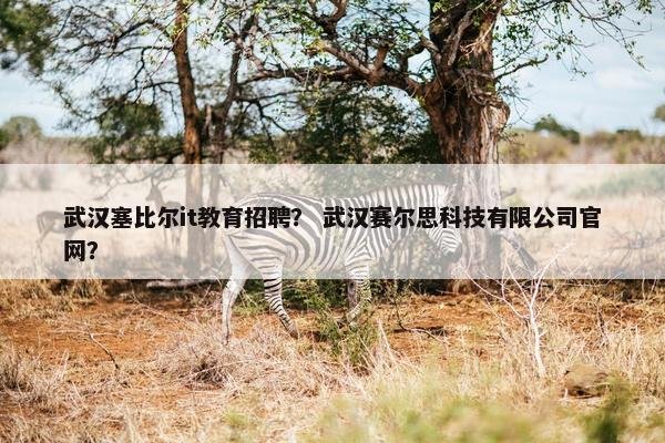 武汉塞比尔it教育招聘？ 武汉赛尔思科技有限公司官网？