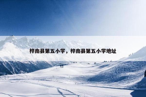 桦南县第五小学，桦南县第五小学地址