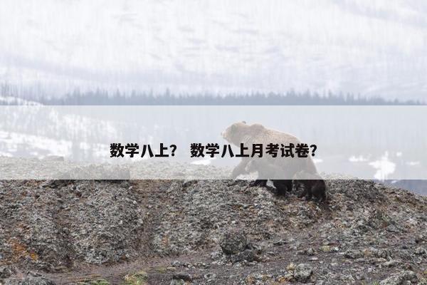数学八上？ 数学八上月考试卷？