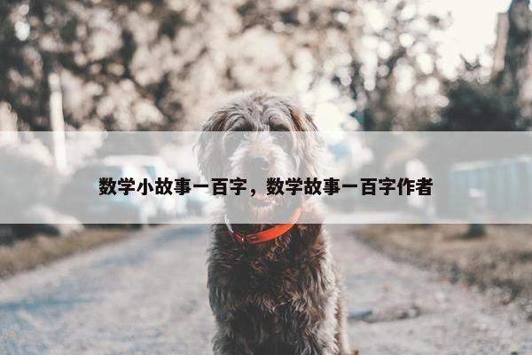数学小故事一百字，数学故事一百字作者
