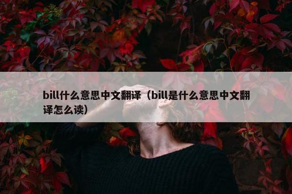 bill什么意思中文翻译（bill是什么意思中文翻译怎么读）