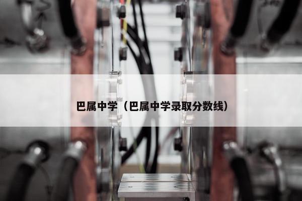 巴属中学（巴属中学录取分数线）